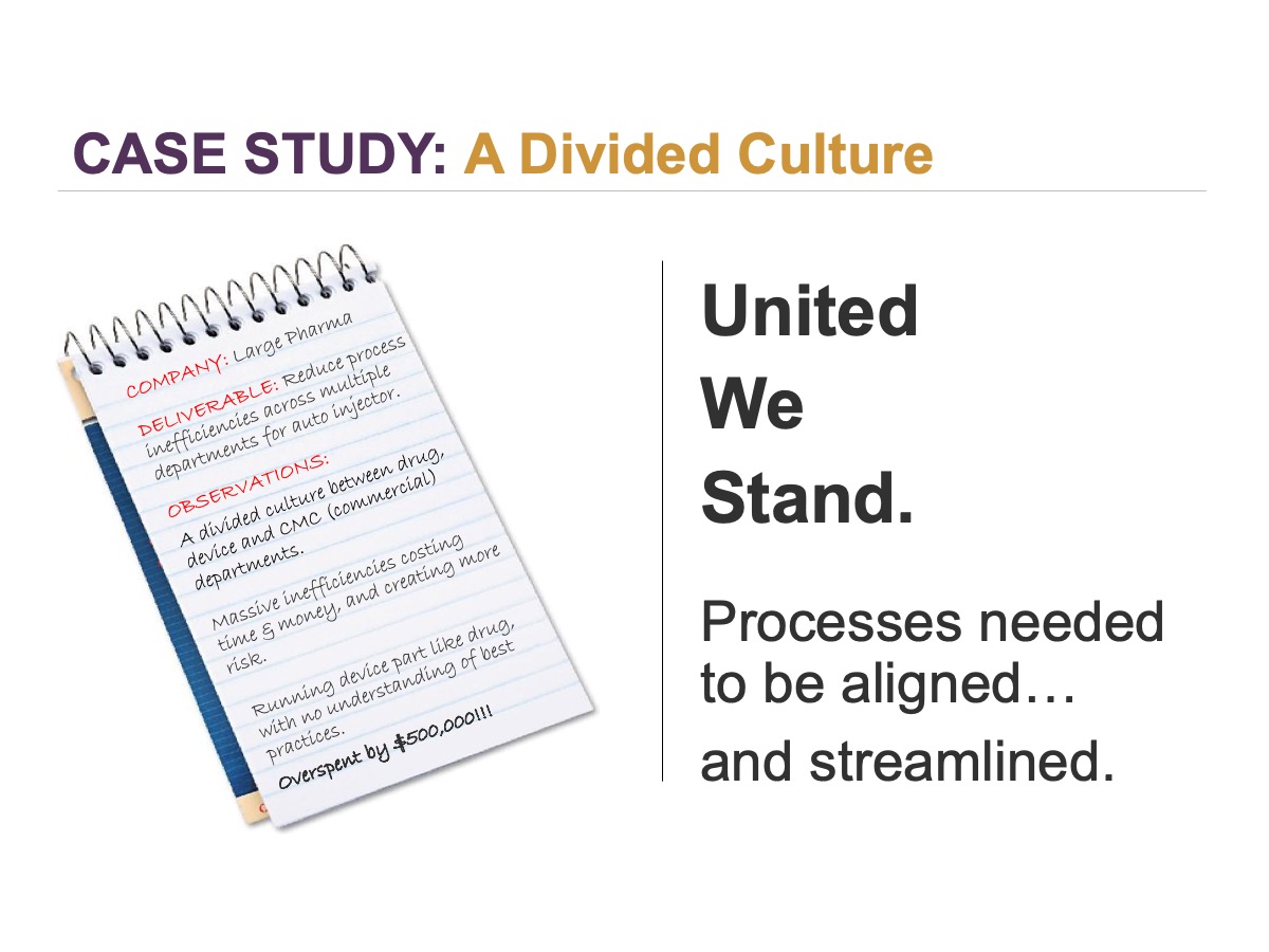 Case Study: A Divided Culture